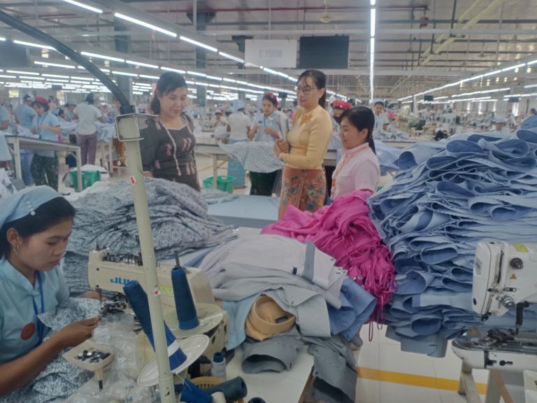 Field Inspection by Yangon Region Investment Monitoring Team